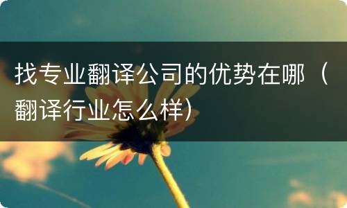 找专业翻译公司的优势在哪（翻译行业怎么样）