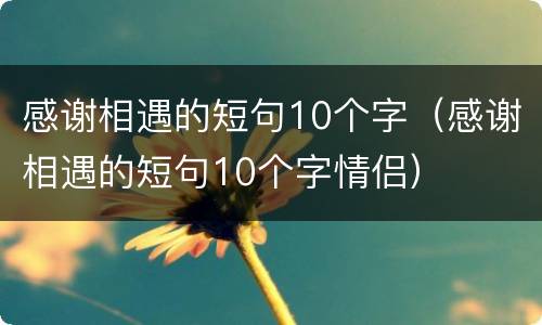 感谢相遇的短句10个字（感谢相遇的短句10个字情侣）