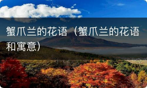 蟹爪兰的花语（蟹爪兰的花语和寓意）