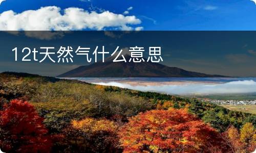 12t天然气什么意思