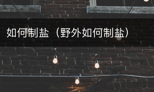 如何制盐（野外如何制盐）