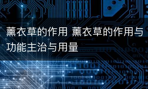 薰衣草的作用 薰衣草的作用与功能主治与用量
