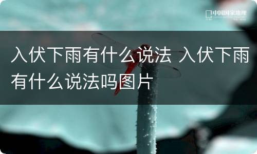 入伏下雨有什么说法 入伏下雨有什么说法吗图片