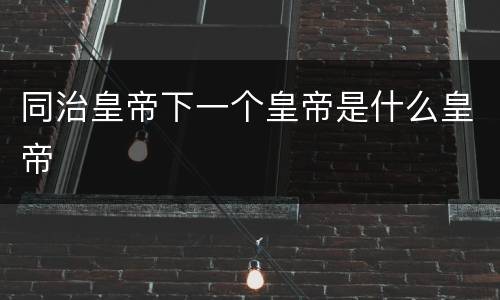 同治皇帝下一个皇帝是什么皇帝