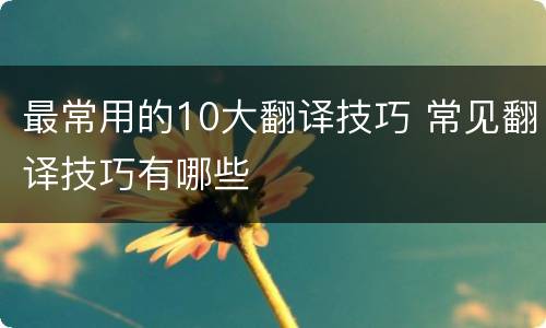 最常用的10大翻译技巧 常见翻译技巧有哪些