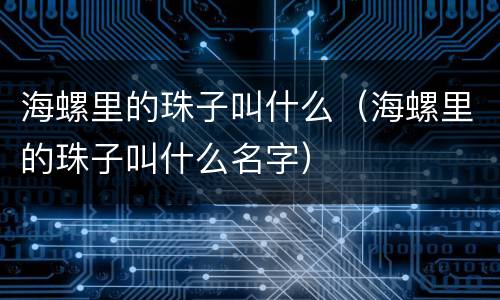 海螺里的珠子叫什么（海螺里的珠子叫什么名字）