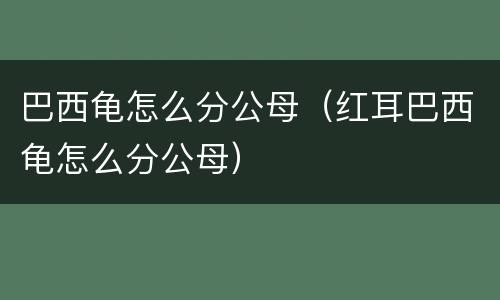 巴西龟怎么分公母（红耳巴西龟怎么分公母）