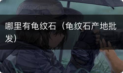 哪里有龟纹石（龟纹石产地批发）
