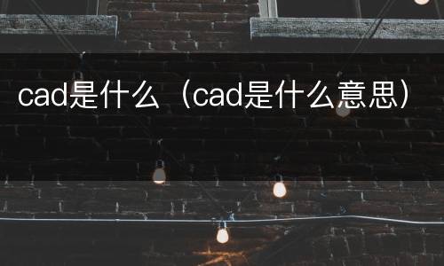 cad是什么（cad是什么意思）