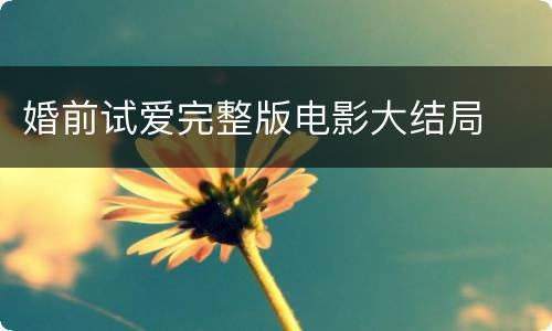 婚前试爱完整版电影大结局
