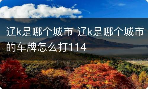 辽k是哪个城市 辽k是哪个城市的车牌怎么打114