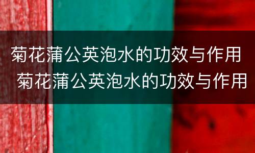 菊花蒲公英泡水的功效与作用 菊花蒲公英泡水的功效与作用禁忌