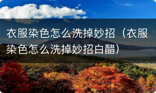 衣服染色怎么洗掉妙招（衣服染色怎么洗掉妙招白醋）