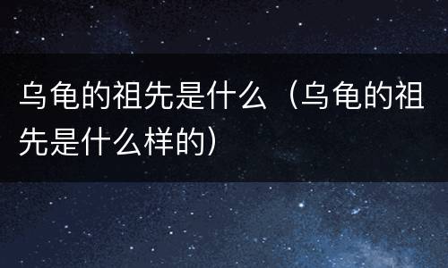 乌龟的祖先是什么（乌龟的祖先是什么样的）