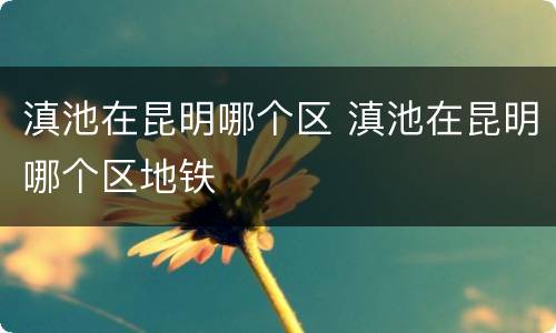 滇池在昆明哪个区 滇池在昆明哪个区地铁