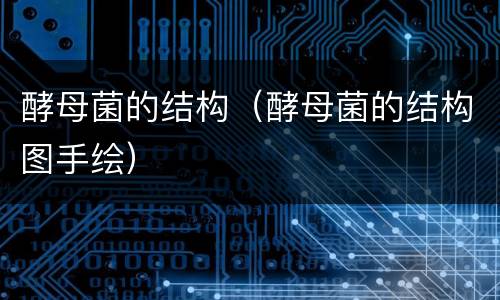 酵母菌的结构（酵母菌的结构图手绘）