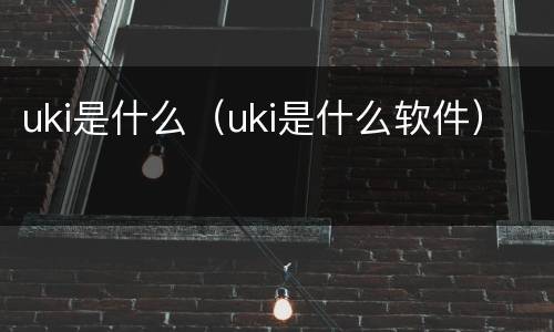 uki是什么（uki是什么软件）
