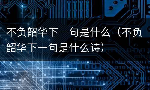 不负韶华下一句是什么（不负韶华下一句是什么诗）