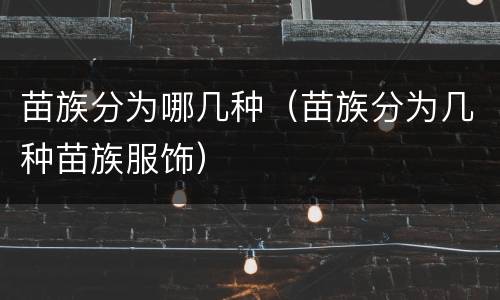 苗族分为哪几种（苗族分为几种苗族服饰）