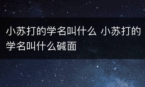 小苏打的学名叫什么 小苏打的学名叫什么碱面