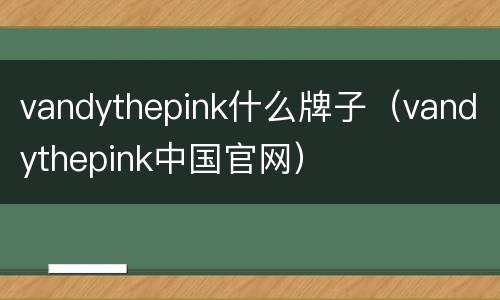 vandythepink什么牌子（vandythepink中国官网）