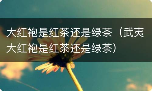 大红袍是红茶还是绿茶（武夷大红袍是红茶还是绿茶）