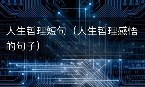 人生哲理短句（人生哲理感悟的句子）