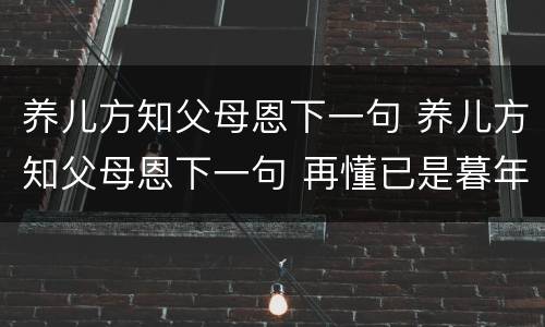 养儿方知父母恩下一句 养儿方知父母恩下一句 再懂已是暮年人