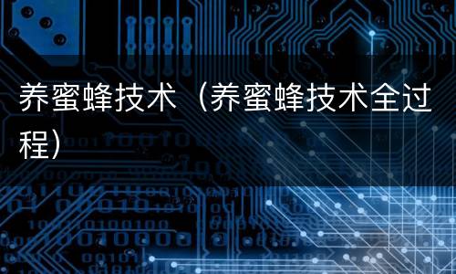养蜜蜂技术（养蜜蜂技术全过程）