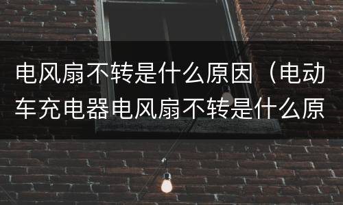 电风扇不转是什么原因（电动车充电器电风扇不转是什么原因）