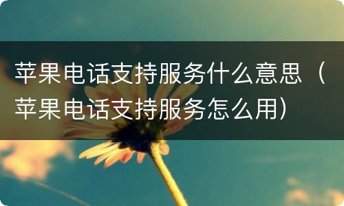 苹果电话支持服务什么意思（苹果电话支持服务怎么用）