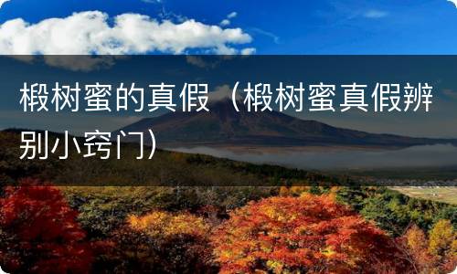 椴树蜜的真假（椴树蜜真假辨别小窍门）