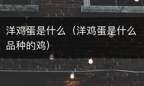 洋鸡蛋是什么（洋鸡蛋是什么品种的鸡）