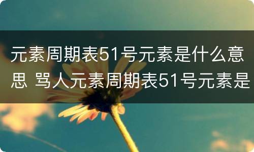 元素周期表51号元素是什么意思 骂人元素周期表51号元素是什么意思