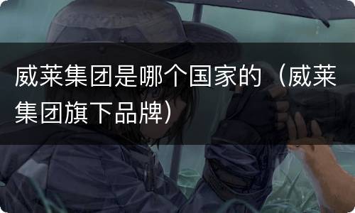 威莱集团是哪个国家的（威莱集团旗下品牌）
