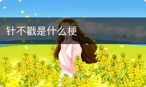 针不戳是什么梗