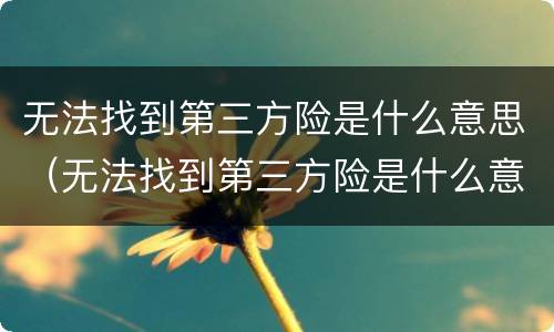 无法找到第三方险是什么意思（无法找到第三方险是什么意思啊）