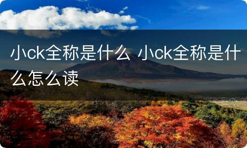 小ck全称是什么 小ck全称是什么怎么读