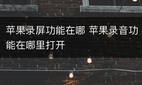 苹果录屏功能在哪 苹果录音功能在哪里打开