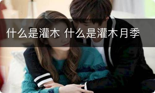 什么是灌木 什么是灌木月季