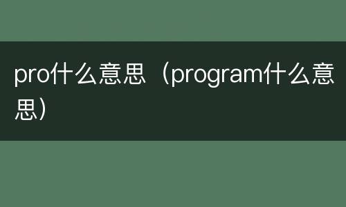 pro什么意思（program什么意思）