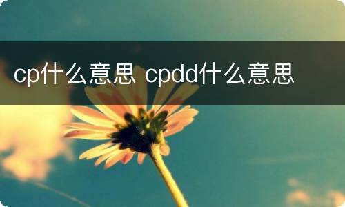 cp什么意思 cpdd什么意思