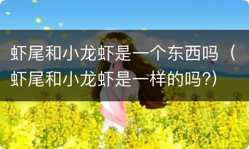 虾尾和小龙虾是一个东西吗（虾尾和小龙虾是一样的吗?）
