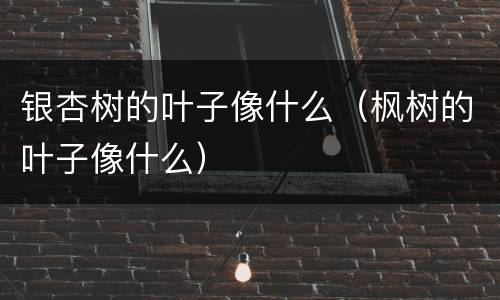 银杏树的叶子像什么（枫树的叶子像什么）