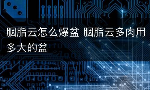胭脂云怎么爆盆 胭脂云多肉用多大的盆