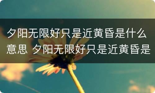 夕阳无限好只是近黄昏是什么意思 夕阳无限好只是近黄昏是什么意思啊网易云