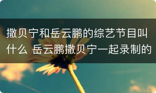 撒贝宁和岳云鹏的综艺节目叫什么 岳云鹏撒贝宁一起录制的综艺