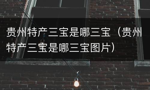 贵州特产三宝是哪三宝（贵州特产三宝是哪三宝图片）