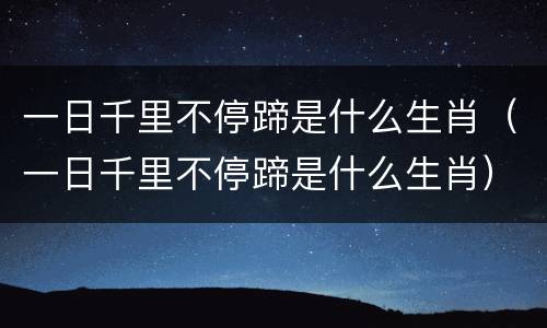 一日千里不停蹄是什么生肖（一日千里不停蹄是什么生肖）