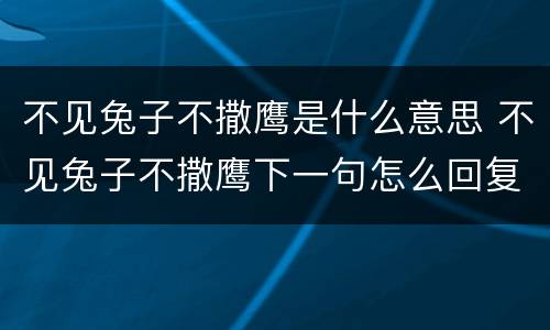 不见兔子不撒鹰是什么意思 不见兔子不撒鹰下一句怎么回复她